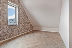 56_Moerasorchidee 31 - Lelystad.jpg